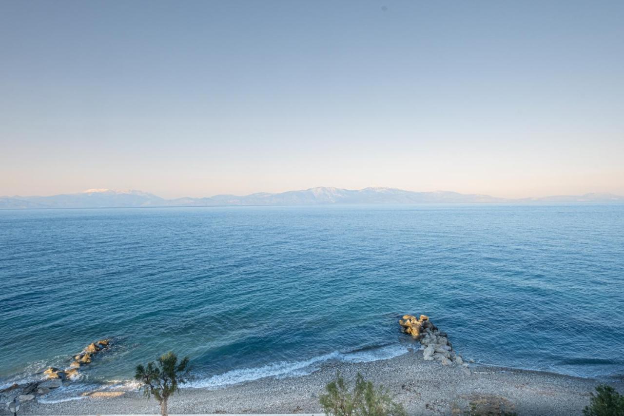 Riviera Hotel غزيلوكاسترون المظهر الخارجي الصورة